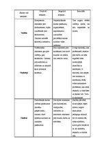 Referāts 'Personības kvalitāšu veidošanās pusaudžu vecumposmāpedagoģiskajā procesā', 10.