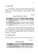 Diplomdarbs 'Ražošanas uzņēmuma efektivitātes paaugstināšana', 35.