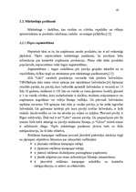 Diplomdarbs 'Ražošanas uzņēmuma efektivitātes paaugstināšana', 41.