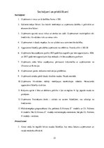 Referāts 'SIA "Bisoks" izvērstā finanšu analīze', 25.