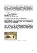 Referāts 'Hidroloģiskie procesi iežu masīvos', 22.