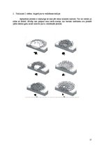 Referāts 'Hidroloģiskie procesi iežu masīvos', 27.