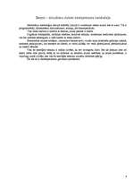 Referāts 'Datorspeciālista profesija', 4.