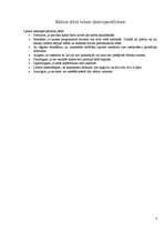 Referāts 'Datorspeciālista profesija', 8.