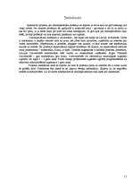 Referāts 'Datorspeciālista profesija', 11.