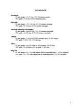 Referāts 'Bauska un Bauskas rajons', 5.