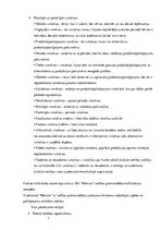 Referāts 'Vadības grāmatvedības informācijas izpēte', 7.