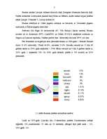 Referāts 'Bauska', 7.