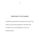 Referāts 'Bauska', 13.