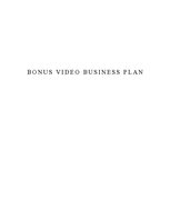 Biznesa plāns 'Bonus Video Business Plan', 1.