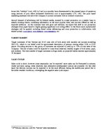 Biznesa plāns 'Bonus Video Business Plan', 13.