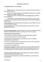 Konspekts 'Konstitucionālās tiesības', 31.