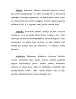 Konspekts 'Renesanse', 3.