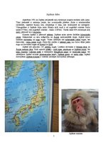 Referāts 'Japāna', 4.