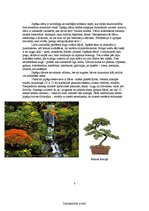 Referāts 'Japāna', 7.