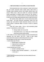 Referāts 'Brīvā ekonomiskā zona: teorija un pasaules pieredze', 5.