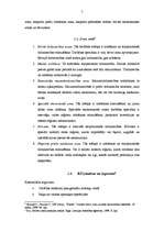 Referāts 'Brīvā ekonomiskā zona: teorija un pasaules pieredze', 7.