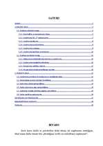 Referāts 'Stratēģijas izvēle un realizēšana uzņēmumā', 2.