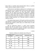 Referāts 'Stratēģijas izvēle un realizēšana uzņēmumā', 6.