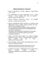 Referāts 'Stratēģijas izvēle un realizēšana uzņēmumā', 28.