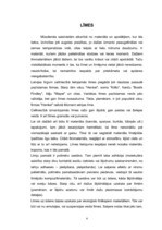 Konspekts 'Līmes', 4.