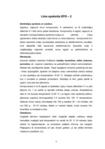 Konspekts 'Līmes', 8.