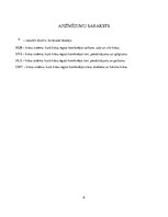 Konspekts 'Android vidē gadījuma veidā ģenerēti trijstūri', 6.