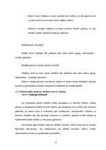 Prakses atskaite 'Prakses atskaite AS "Hansabanka"', 18.