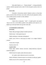 Prakses atskaite 'Prakses atskaite AS "Hansabanka"', 29.