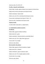 Prakses atskaite 'Prakses atskaite AS "Hansabanka"', 32.