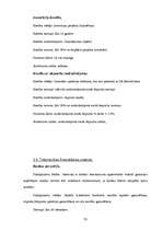 Prakses atskaite 'Prakses atskaite AS "Hansabanka"', 33.