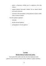 Prakses atskaite 'Prakses atskaite AS "Hansabanka"', 42.