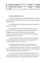 Prakses atskaite 'Prakses atskaite AS "Hansabanka"', 44.