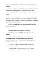 Prakses atskaite 'Prakses atskaite AS "Hansabanka"', 45.