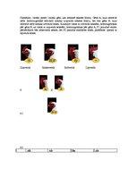 Referāts 'Starplokusu mijiedarbības veidi - epistāze, komplementaritāte, polimērija', 3.