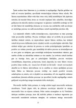 Referāts 'Noziedzīgā nodarījumā cietušā psiholoģiskās īpatnības', 15.