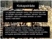 Prezentācija 'Mežsaimniecība', 7.