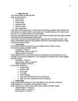 Referāts 'Latvijas ostu maksas un kuģa izmaksu kalkulācija', 15.