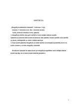 Referāts 'Etnogrāfijas klātesamība mūsdienās', 2.