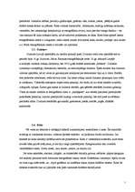 Referāts 'Etnogrāfijas klātesamība mūsdienās', 7.