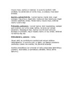 Konspekts 'Tekstilšķiedras', 5.