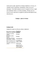 Konspekts 'Tekstilšķiedras', 7.