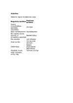 Konspekts 'Tekstilšķiedras', 8.