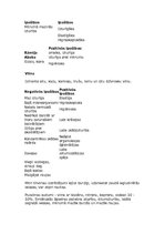 Konspekts 'Tekstilšķiedras', 10.