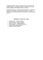 Konspekts 'Tekstilšķiedras', 11.