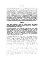 Referāts 'Grieze', 2.