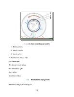 Diplomdarbs 'Hidrauliskā bremžu sistēma', 15.