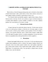 Diplomdarbs 'Hidrauliskā bremžu sistēma', 22.