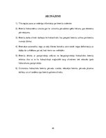 Diplomdarbs 'Hidrauliskā bremžu sistēma', 45.