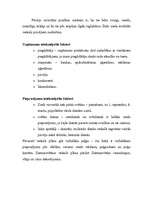 Biznesa plāns 'SIA "Ziedu pasaule"', 5.